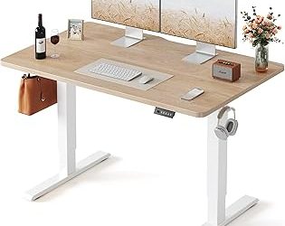 Best Adjustable Desk (2026)