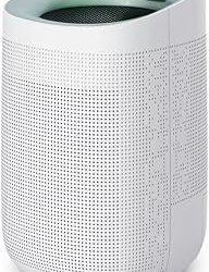 Best Air Purifier And Dehumidifier All In One (2026)