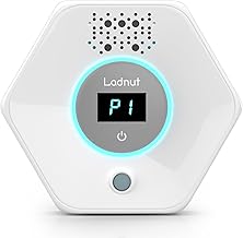 Best Air Purifier For Litter Box Smell (2026)