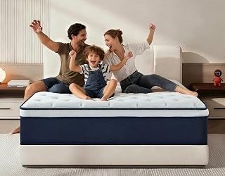 Best Box Spring Mattresses (2026)