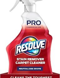 Best Carpet Spot Cleaner (2026)
