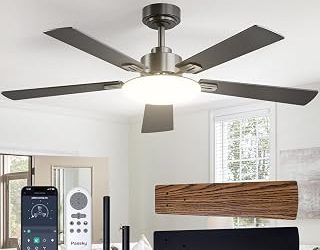 Best Ceiling Fan Ratings (2026)
