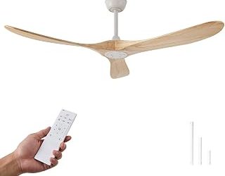 Best Ceiling Fan Without Light (2026)