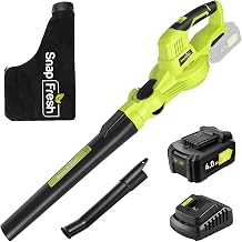 Best Cordless Leaf Vacuum With Bag (2026)