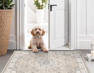 Best Material For Entryway Rug (2026)