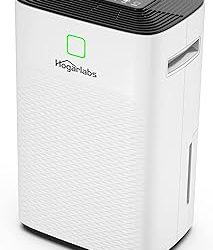 Best Silent Dehumidifier (2026)