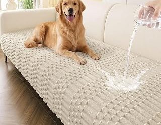 Best Sofa Fabric For Dogs (2026)