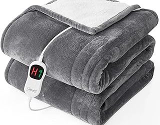 Best Twin Heated Blanket (2026)