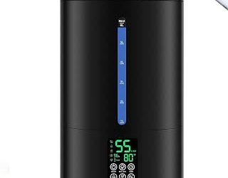Best Warm Air Room Humidifier (2026)