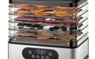 How to Choose a Food Dehydrator for Healthy Snacks (2026)