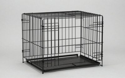 Best Heavy Duty Dog Crates for Large Dogs Reviewed