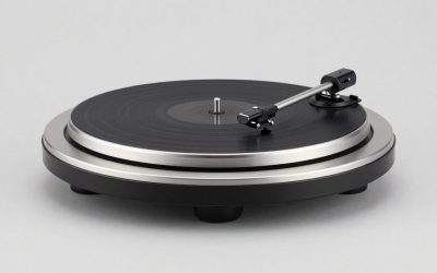 Best Lazy Susan Turntables for Cabinets