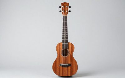 Best Soprano Ukuleles for Beginners