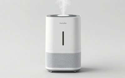 Humidifier for Dry Cough: Living Room and Home Office Picks